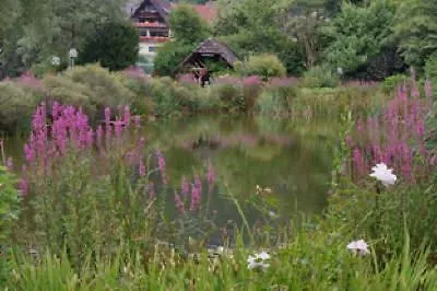 Daire Ferienwohnung Am Grafenbaechle, 80Qm